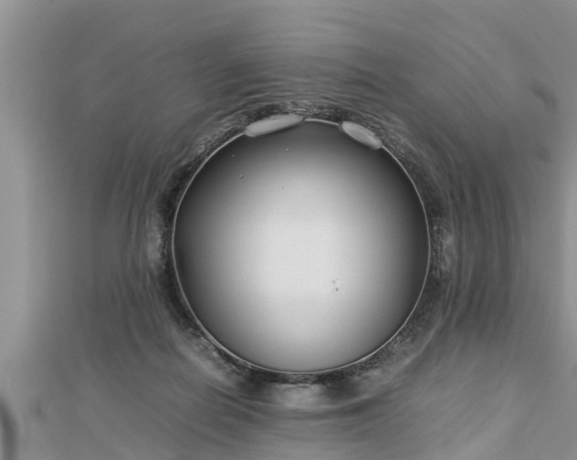 X0000112790266200908281513