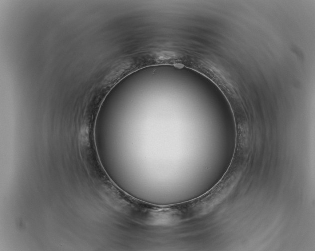 X0000112790269200908281513