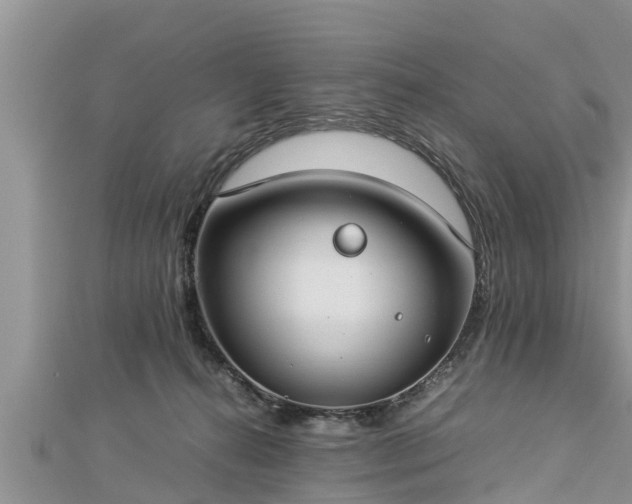 X0000112790272200908281513