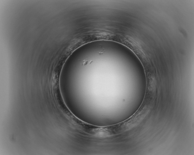 X0000112790273200908281513