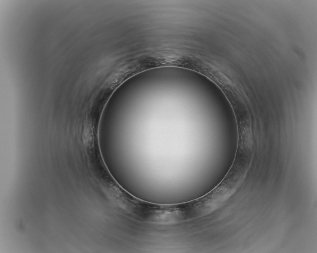 X0000112790274200908281513