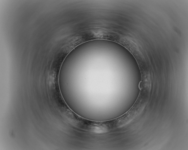 X0000112790275200908281513