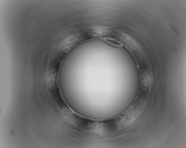 X0000112790276200908281513