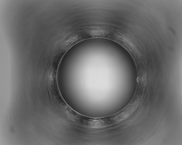 X0000112790277200908281513