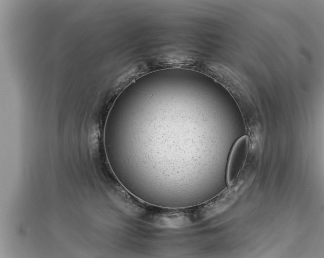 X0000112790279200908281513