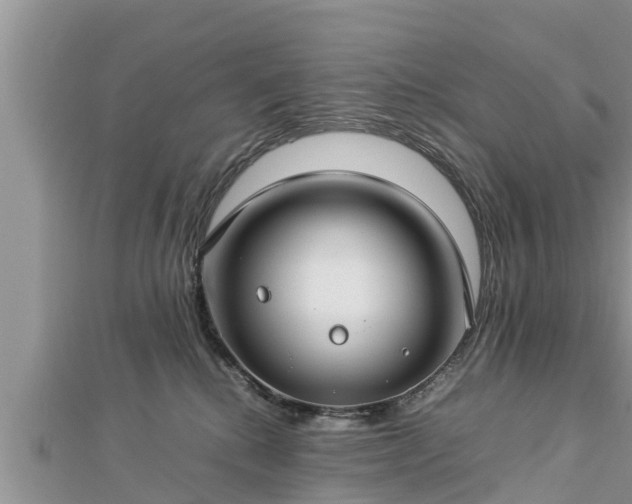 X0000112790280200908281513