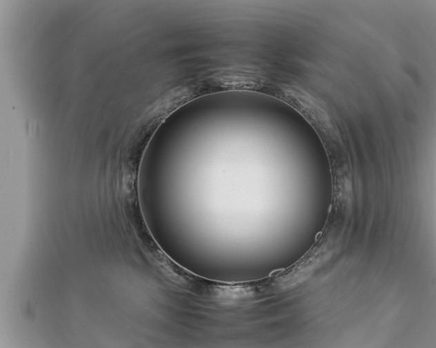 X0000112790281200908281513