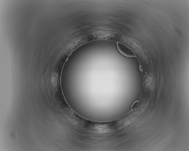 X0000112790283200908281513