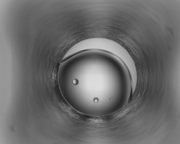 X0000112790284200908281513