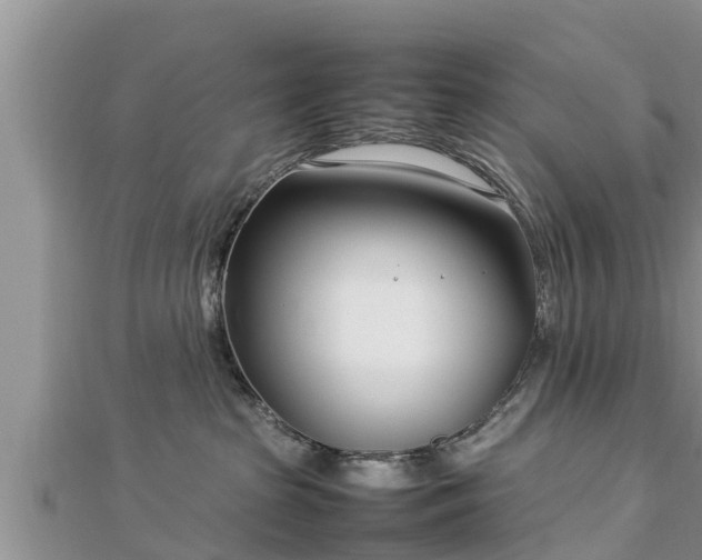 X0000112790285200908281513