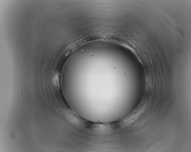 X0000112790286200908281513