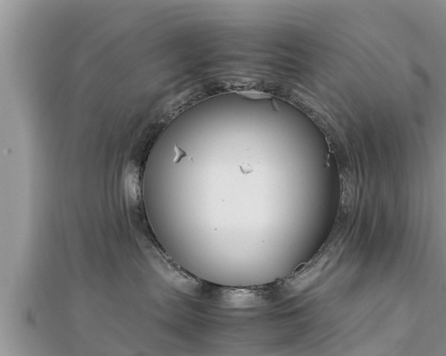 X0000112790287200908281513