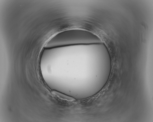 X0000112790289200908281513