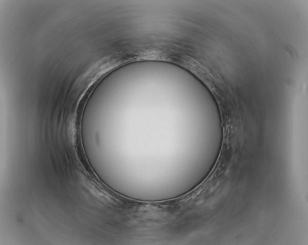 X0000112790290200908281513