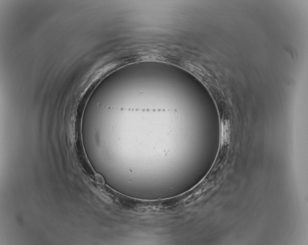 X0000112790291200908281513