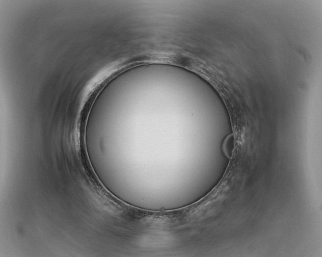 X0000112790294200908281513