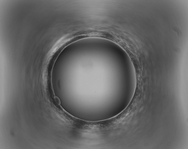 X0000112790295200908281513