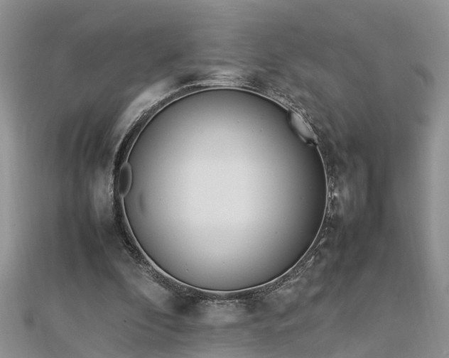 X0000112790296200908281513