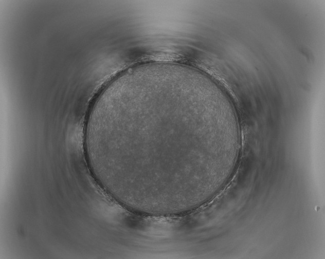 X0000112790297200908281513