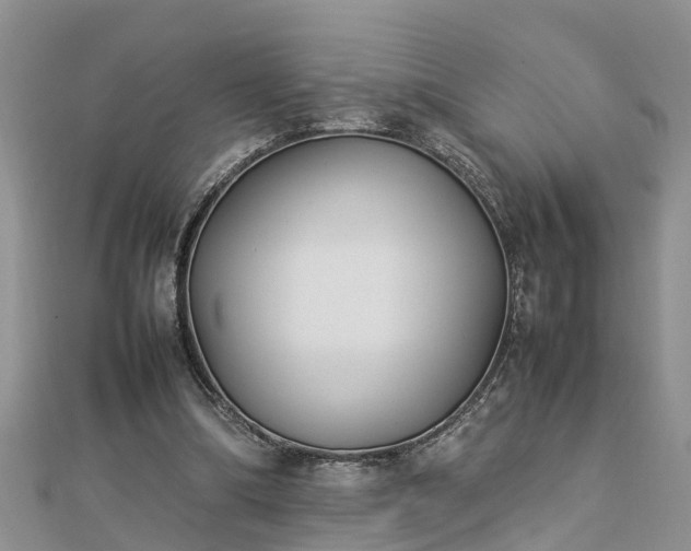 X0000112790298200908281513