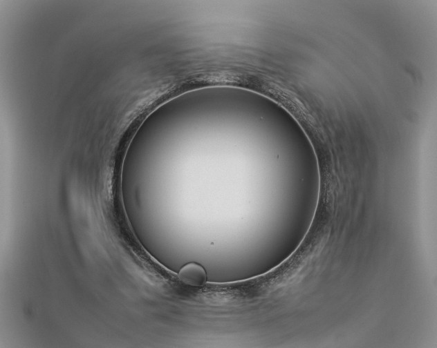 X0000112790299200908281513