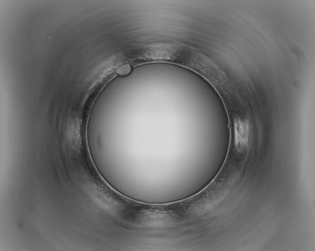 X0000112790300200908281513