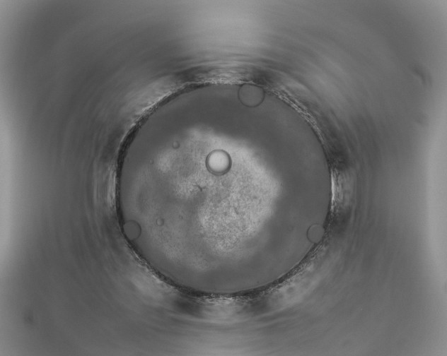 X0000112790301200908281513