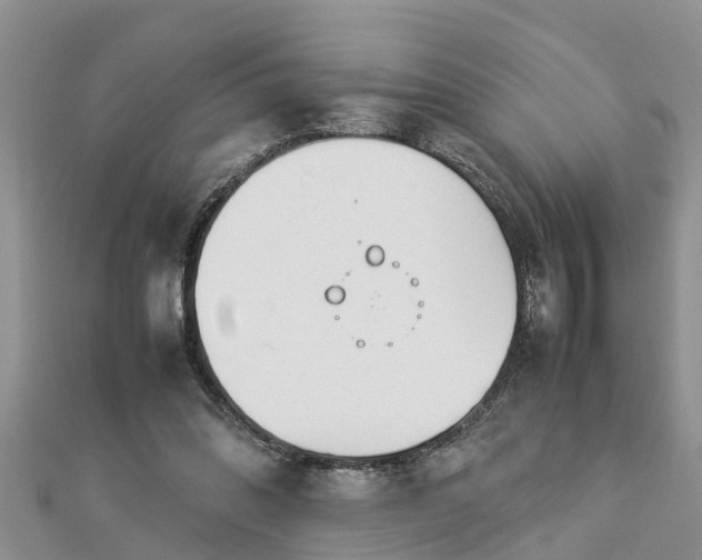 X0000112790302200908281513