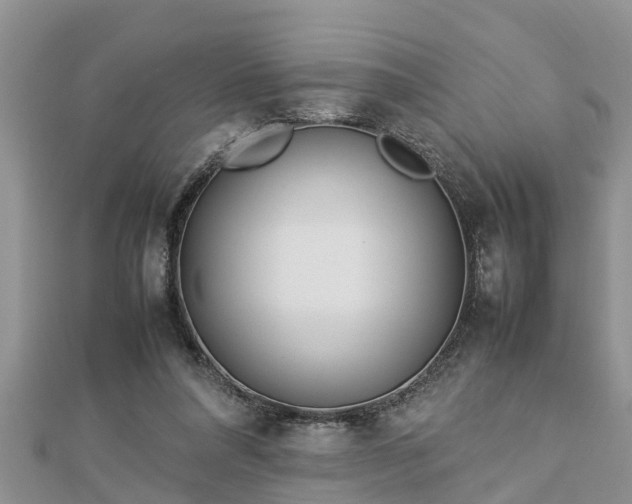 X0000112790304200908281512