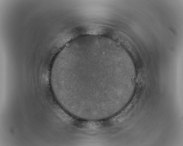 X0000112790305200908281512