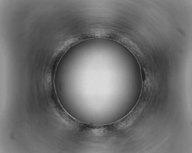 X0000112790306200908281512