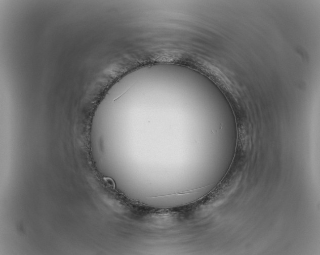 X0000112790307200908281512