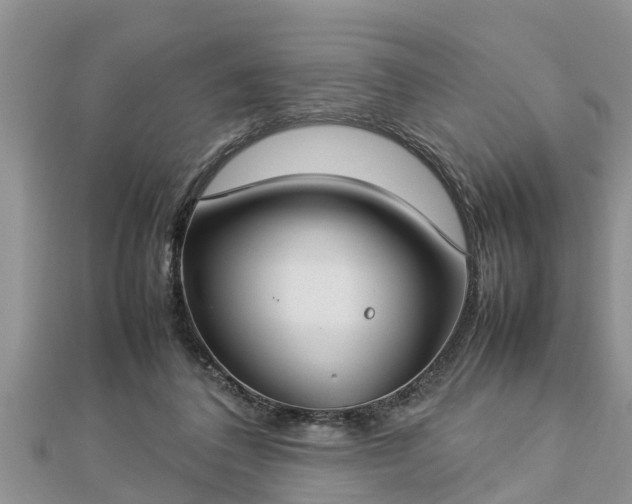 X0000112790308200908281512