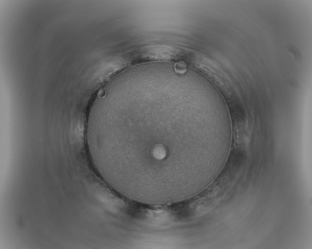 X0000112790309200908281512