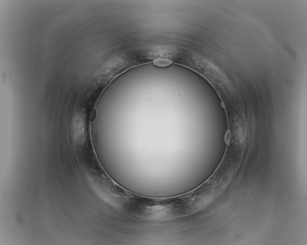 X0000112790312200908281512