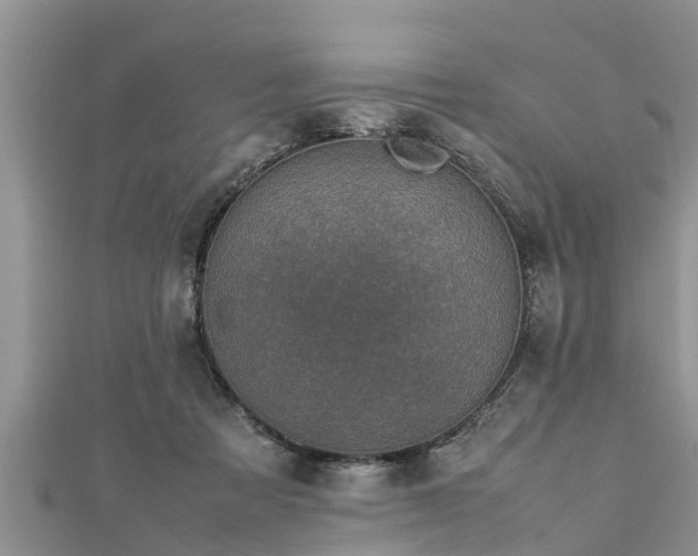 X0000112790313200908281512