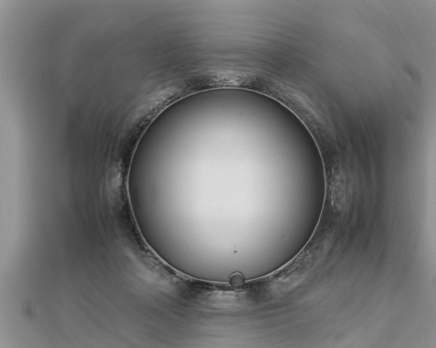 X0000112790314200908281512