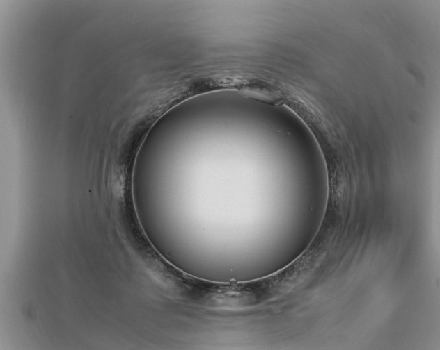 X0000112790315200908281512