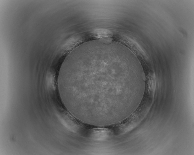 X0000112790316200908281512