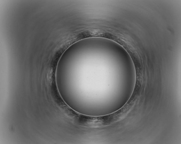 X0000112790319200908281512