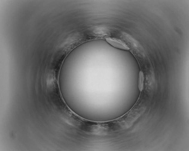 X0000112790320200908281512