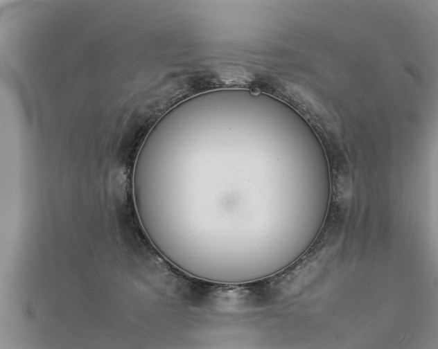 X0000112790321200908281512