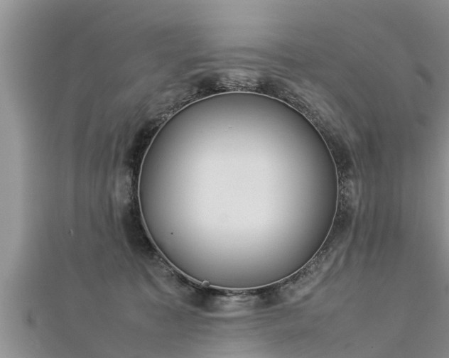 X0000112790323200908281512