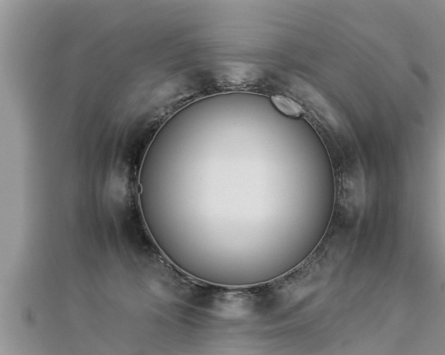 X0000112790324200908281512