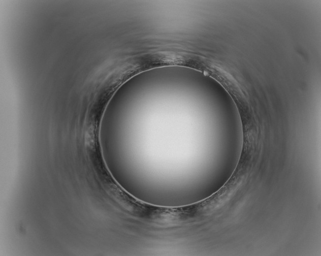 X0000112790325200908281512