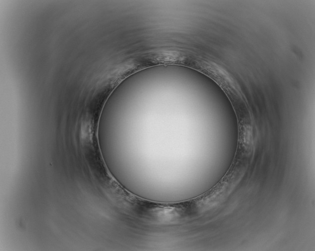 X0000112790326200908281512