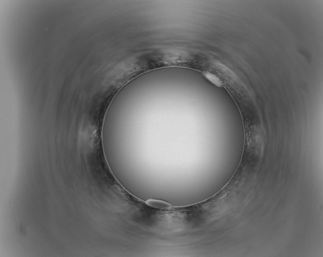 X0000112790327200908281512