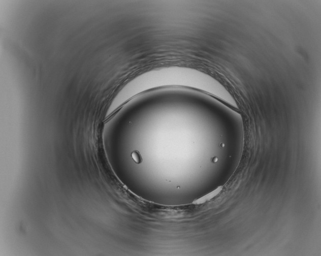 X0000112790328200908281512