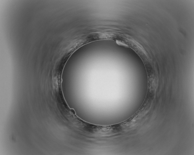 X0000112790329200908281512