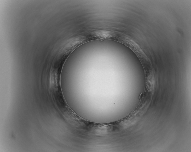 X0000112790330200908281512